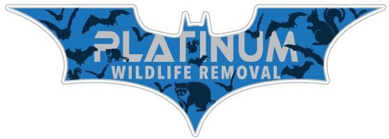 Extreme Animal Removal LLC